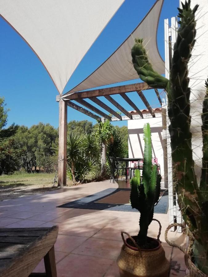 Le Repaire de la Cadière à 5mn des plages ! Saint-Cyr-sur-Mer Exterior foto