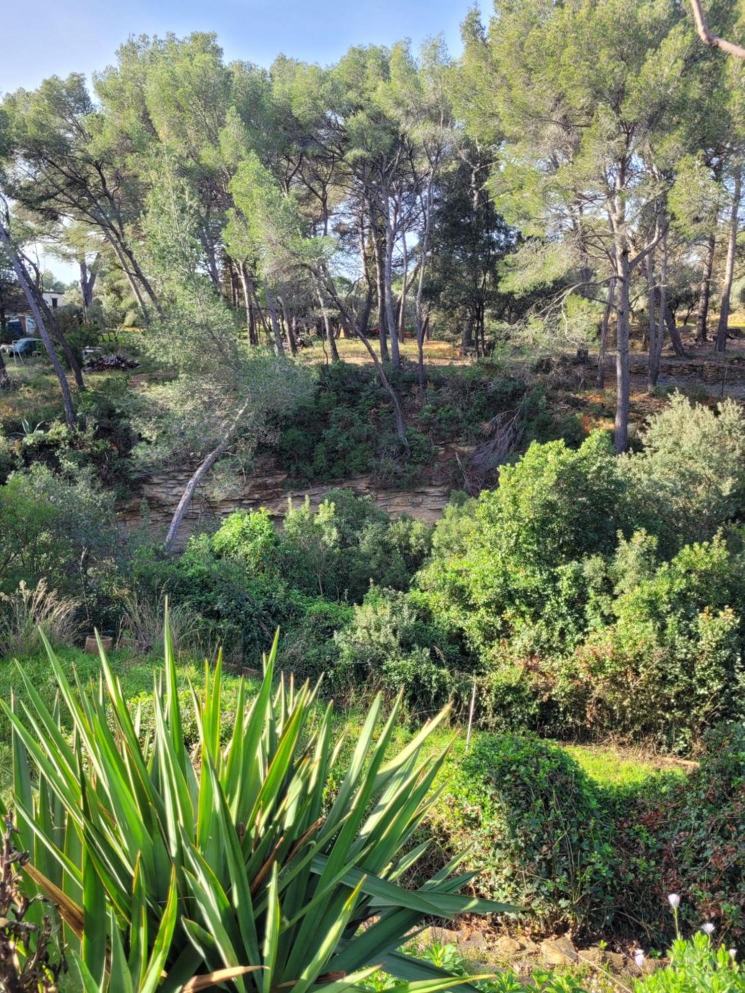 Le Repaire de la Cadière à 5mn des plages ! Saint-Cyr-sur-Mer Exterior foto